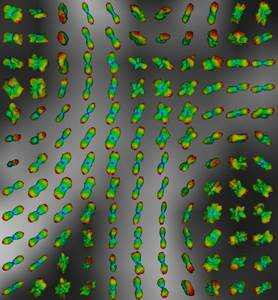 Publication cover image